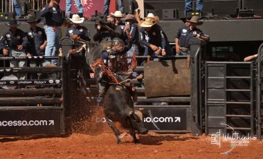 Festa do Peão de Barretos abre programação esportiva com PBR Brazil, Team Roping e Team Penning