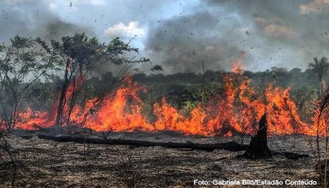Pacientes curados da Covid-19 são mais sensíveis à fumaça e fuligem produzidas pelas queimadas