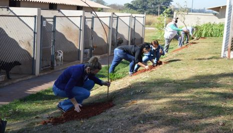 Centro de Acolhimento Animal recebe melhorias na estrutura