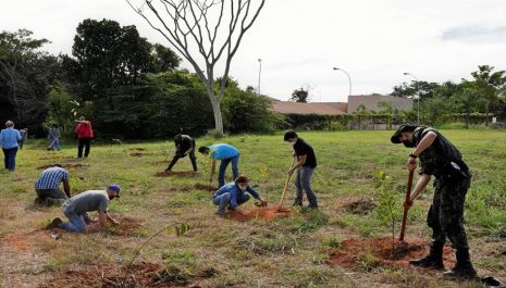 Polícia Ambiental realiza o plantio de árvores nativas em Olímpia com apoio da Prefeitura