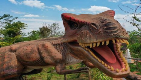 Vale dos Dinossauros Olímpia abre todos os dias nas férias de julho