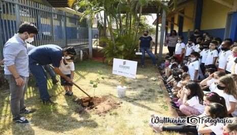 Dia da Árvore é comemorado com plantio de mudas em escolas e adoção de praça em Olímpia