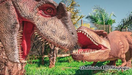 Vale dos Dinossauros Olímpia amplia horário de visitação