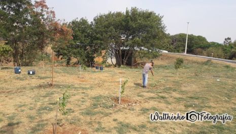 Córrego do Matadouro recebe plantio de novas árvores