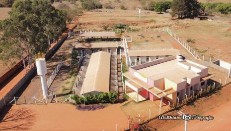 Meio Ambiente promove feira de adoção de animais nesta quinta-feira (23)