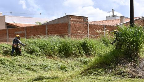 Prefeitura intensifica serviço de roçada de praças e avenidas e divulga telefone para denúncias sobre terrenos sujos ou com mato alto 