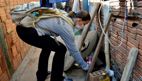 Olímpia mantém controle no número de casos de dengue pelo segundo ano consecutivo