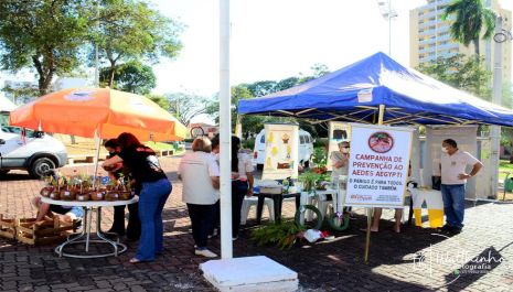 Dia “D” aplica cerca de 500 doses de vacinas contra Covid, Sarampo e Gripe em Olímpia