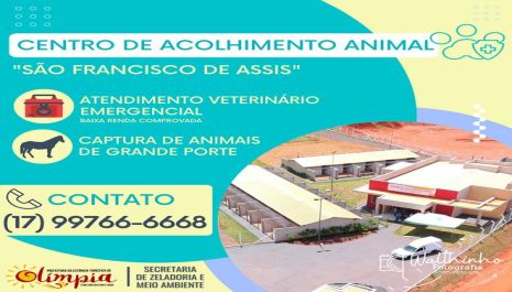 Centro de Acolhimento Animal reforça serviço de atendimento e divulga novo contato para emergências veterinárias