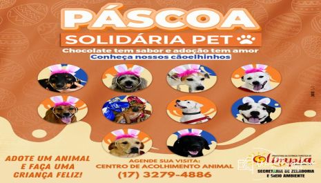 Centro de Acolhimento Animal de Olímpia lança campanha “Páscoa Solidária Pet” para incentivar a adoção de animais