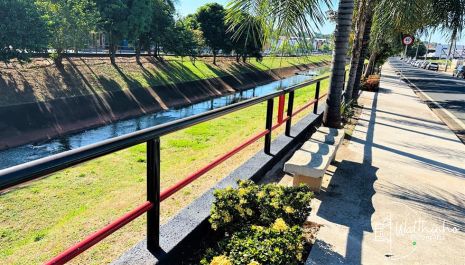 Avenida Aurora Forti Neves recebe revitalização com melhoria no calçamento, paisagismo e nova pintura