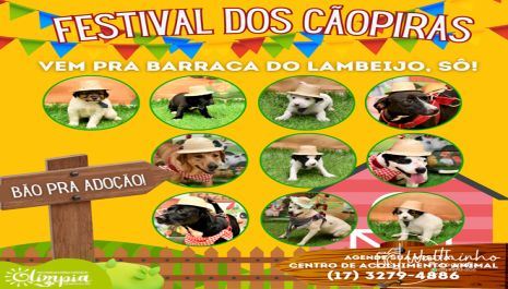 Festa Junina é tema de nova campanha de adoção responsável do Centro de Acolhimento Animal de Olímpia