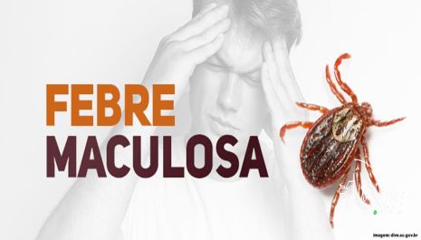 Dúvidas sobre febre maculosa? Saiba mais sobre causas, sintomas, tratamento e letalidade