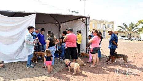 Olímpia castra cerca de 200 animais entre cães e gatos no 1º Mutirão de Castração gratuito