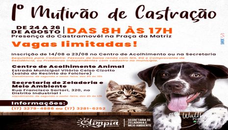 Meio Ambiente realizará 1º Mutirão de Castração para cães e gatos fêmeas de 24 a 26 de agosto na Praça da Matriz