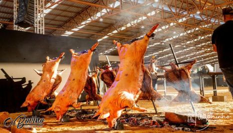 Festival O BOVINO reúne churrasco, música e diversão em Rio Preto