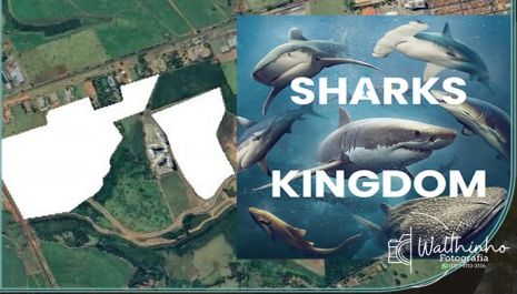  PARQUE REINO DOS TUBARÕES Olímpia terá um novo atrativo imperdível