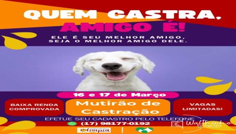 Meio Ambiente realizará 3º Mutirão de Castração para cães e gatos em março