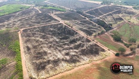 Prefeitura de Olímpia decreta situação de emergência ambiental em decorrência das queimadas e incêndios florestais