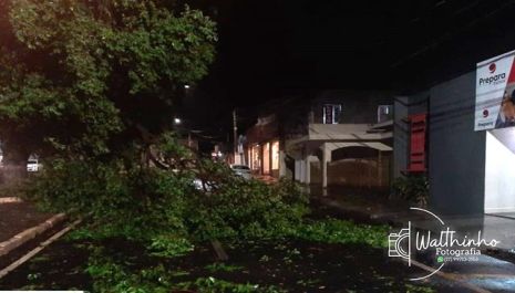 Equipes da Prefeitura atuam na limpeza de ruas e avenidas após forte chuva em Olímpia