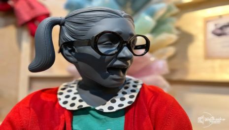 Sucesso de bilheteria, exposição do Chaves no Iguatemi Rio Preto receberá clientes caracterizados para o “Chiquinha Day” 