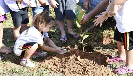 Dia da Árvore é marcado por plantio de mudas e ações educativas da Tenda Itinerante